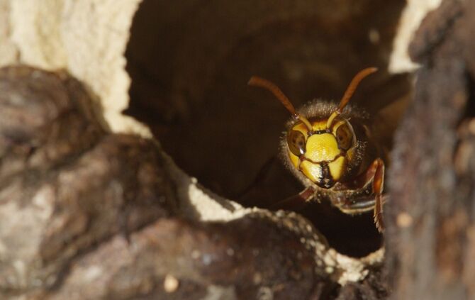 Brian Mc Clatchy aus Remshalden_7