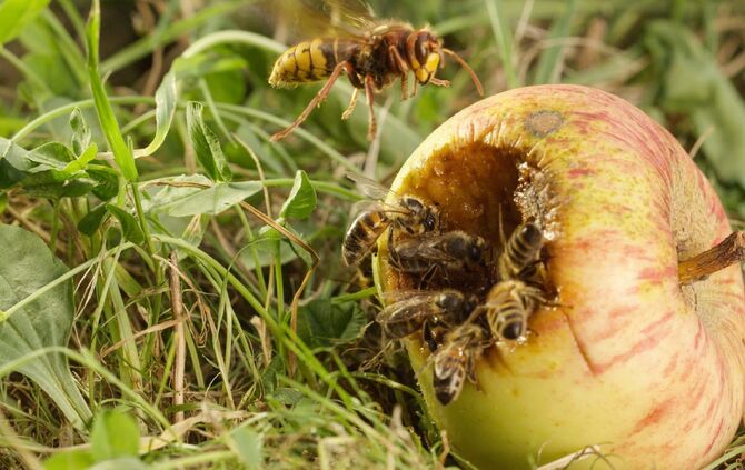 Brian Mc Clatchy aus Remshalden_12