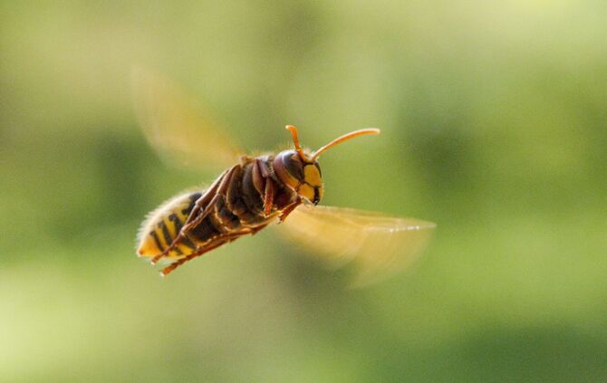 Brian Mc Clatchy aus Remshalden_13