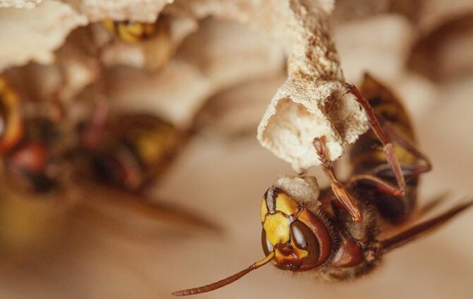 Brian Mc Clatchy aus Remshalden_14