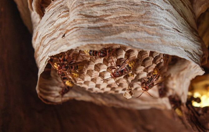 Brian Mc Clatchy aus Remshalden_15