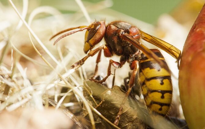 Brian Mc Clatchy aus Remshalden_16