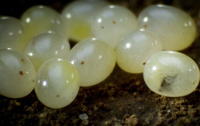 Brian Mc Clatchy aus Remshalden_17