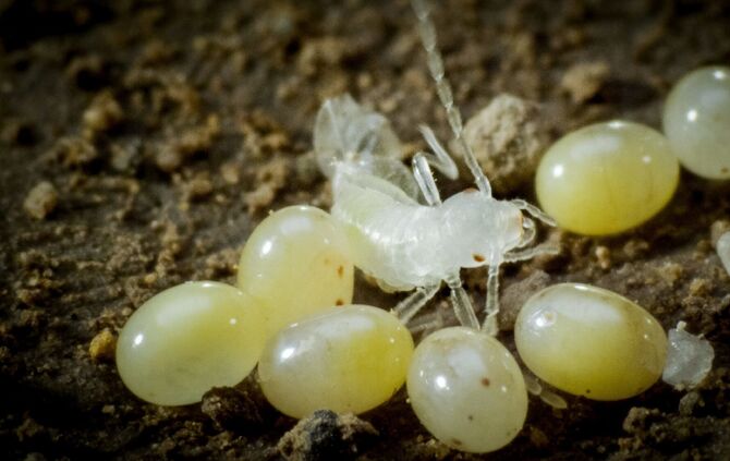 Brian Mc Clatchy aus Remshalden_18