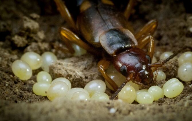 Brian Mc Clatchy aus Remshalden_19