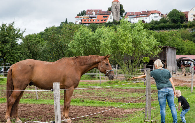 Fest auf dem Aidehof - Bild 01_1