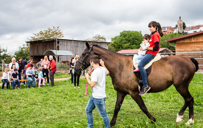 Fest auf dem Aidehof - Bild 03_3
