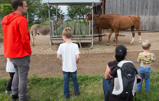 Fest auf dem Aidehof - Bild 05_5