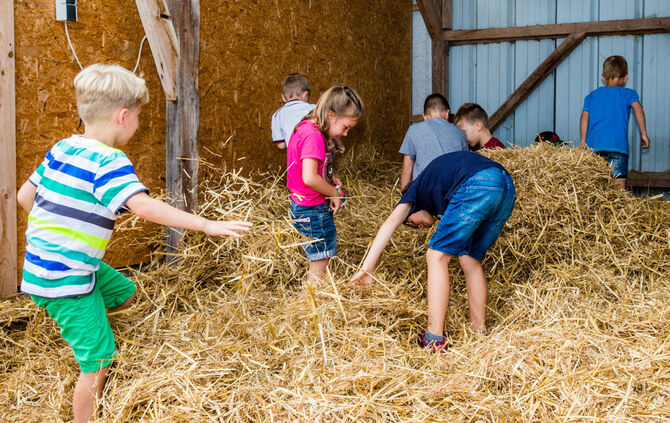 Fest auf dem Aidehof - Bild 08_8