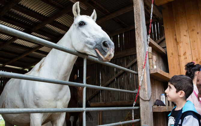 Fest auf dem Aidehof - Bild 09_9