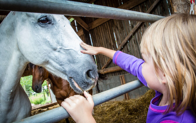 Fest auf dem Aidehof - Bild 16_12