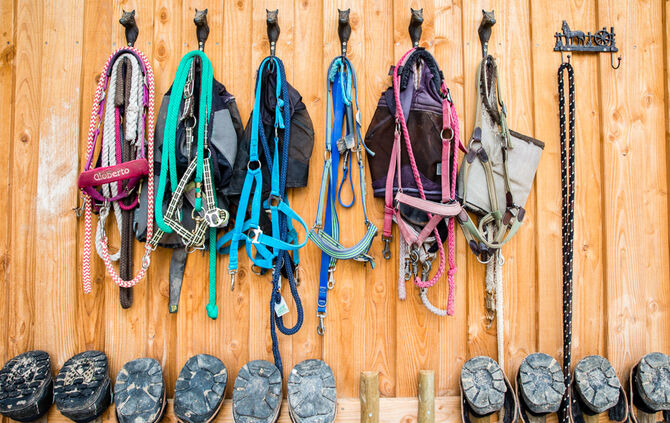 Fest auf dem Aidehof - Bild 17_13