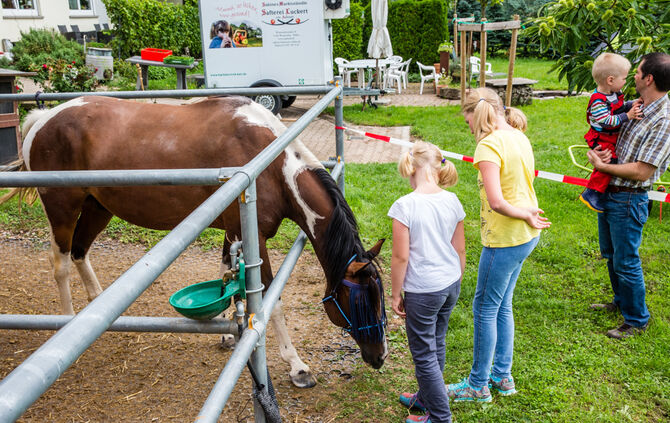 Fest auf dem Aidehof - Bild 18_14