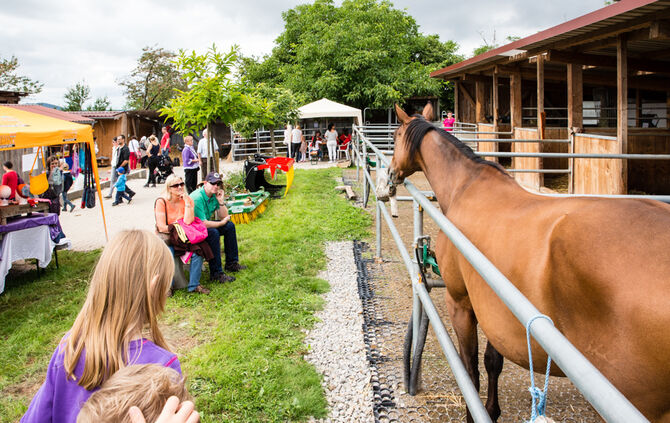 Fest auf dem Aidehof - Bild 19_15
