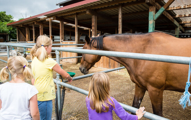 Fest auf dem Aidehof - Bild 20_16