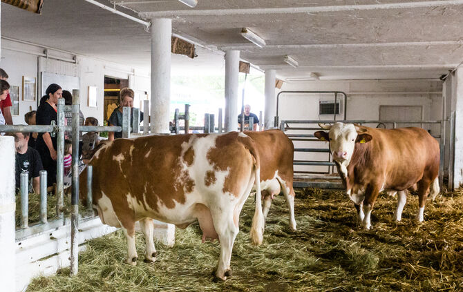 Fest auf dem Aidehof - Bild 21_17