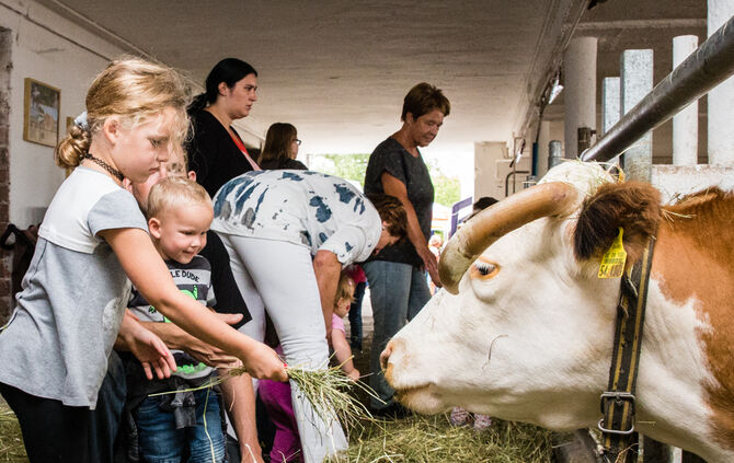 Fest auf dem Aidehof - Bild 22_18