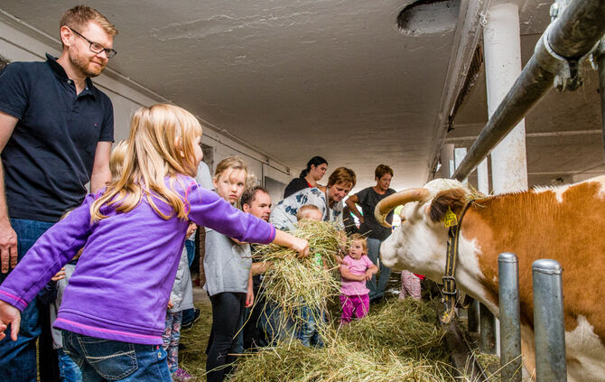 Fest auf dem Aidehof - Bild 23_19