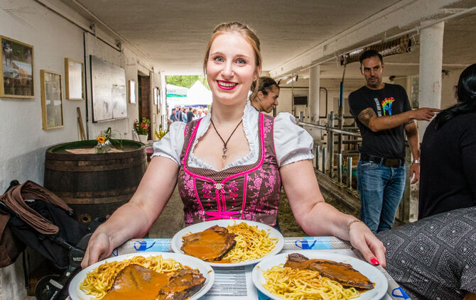 Fest auf dem Aidehof - Bild 24_20