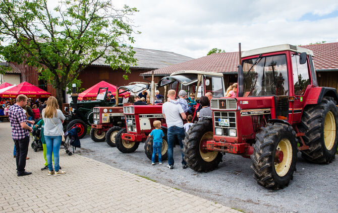 Fest auf dem Aidehof - Bild 36_32