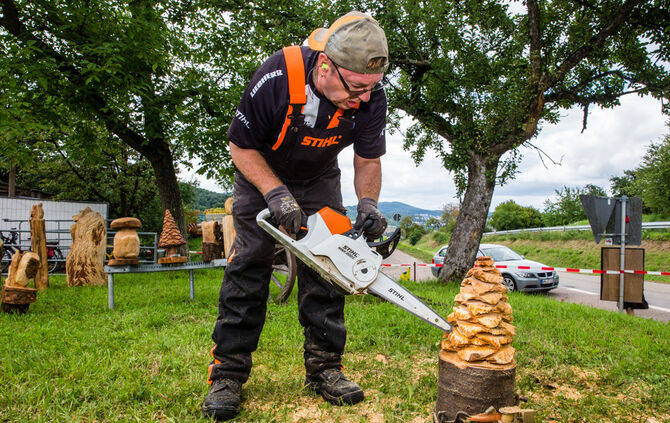 Fest auf dem Aidehof - Bild 38_34