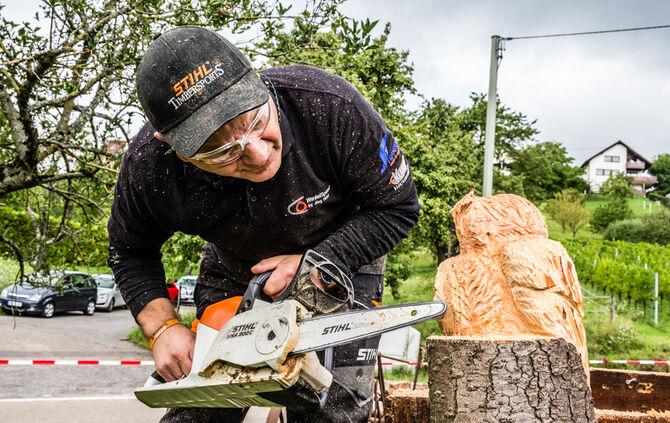 Fest auf dem Aidehof - Bild 39_35