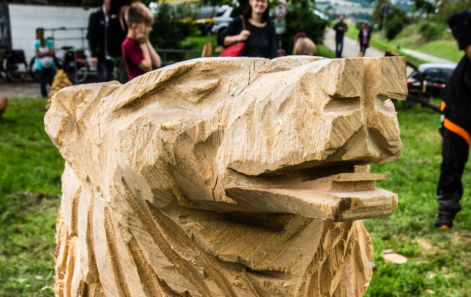 Fest auf dem Aidehof - Bild 40_36