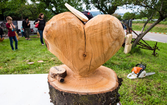 Fest auf dem Aidehof - Bild 41_37