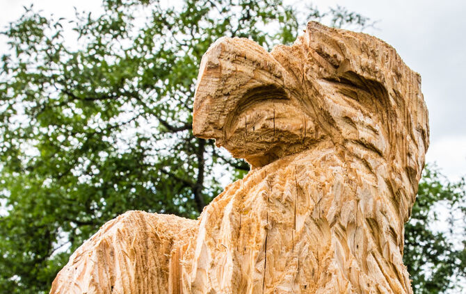 Fest auf dem Aidehof - Bild 42_38