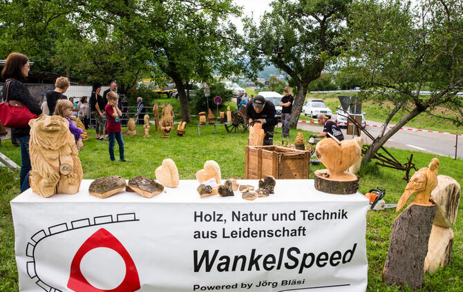 Fest auf dem Aidehof - Bild 43_39