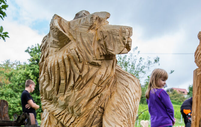 Fest auf dem Aidehof - Bild 45_41