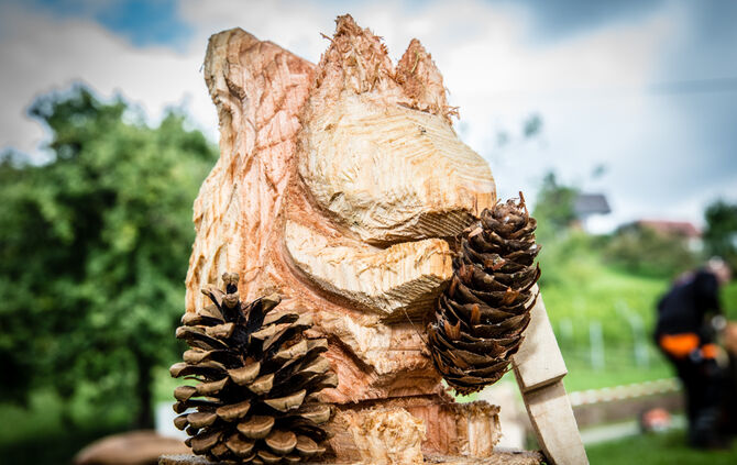 Fest auf dem Aidehof - Bild 46_42