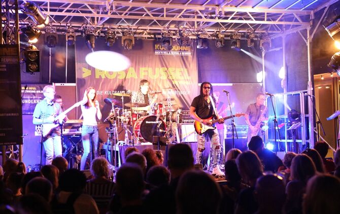 Altstadtfest
