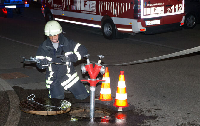 Kaminbrand sorgt für Aufregung - Bild 03_8