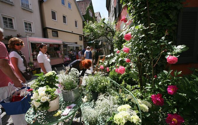 Schorndorf Rosenmarkt Juni 2013