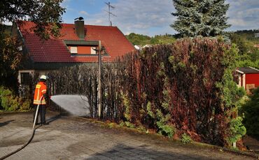 Hecke in Brand_0