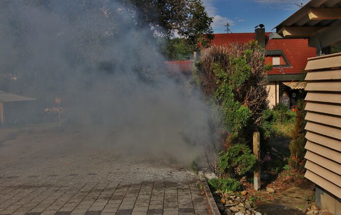 Hecke in Brand_3