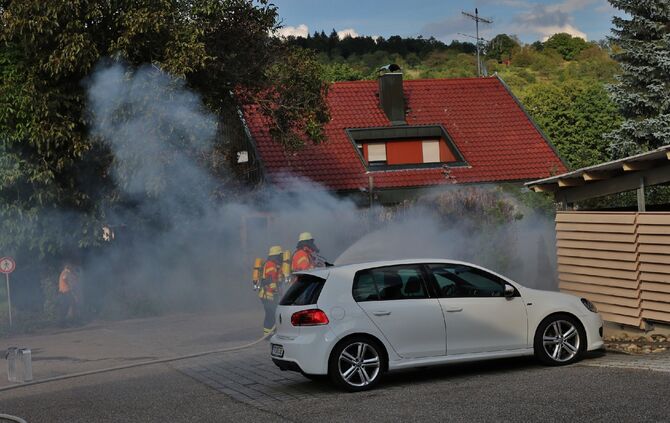 Hecke in Brand_5