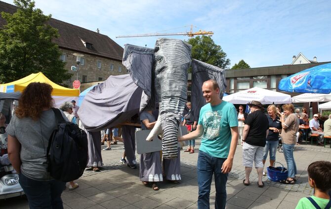 Schowo Sonntag - Bild 15_14