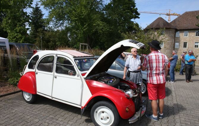 Schowo Sonntag - Bild 25_24