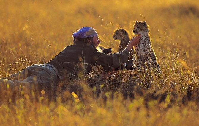 b544384e-549f-42b8-8b9d-bf5c5da513d0.jpg_0