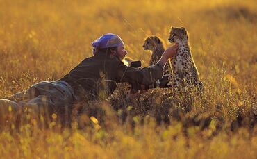 b544384e-549f-42b8-8b9d-bf5c5da513d0.jpg_0