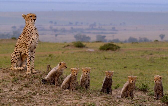 _01_PR-Maleika-1-Fam._3