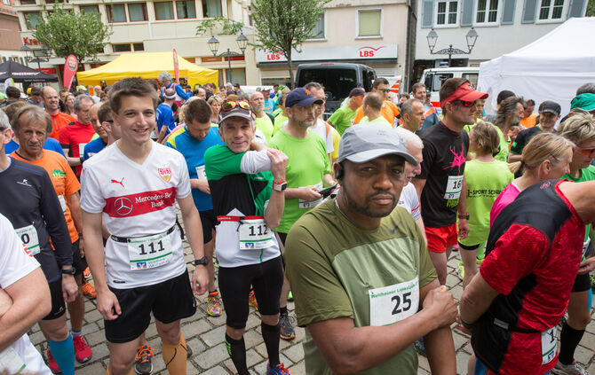 Welzheimer Limesläufe - Bild 09_9