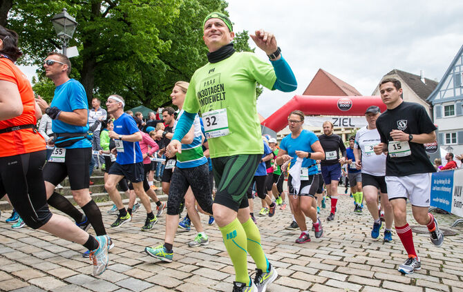 Welzheimer Limesläufe - Bild 19_18