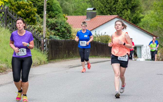 Welzheimer Limesläufe - Bild 133_132