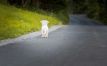 6e09cefb-d133-4ff8-a7fb-22826cd99a2d.jpg_0