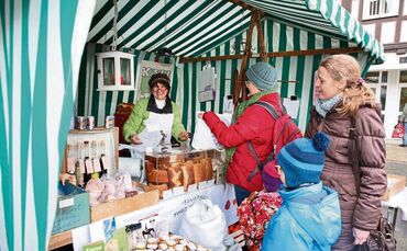 08bab172-d7b9-44f3-bd72-b02f8cfb0402.jpg_0