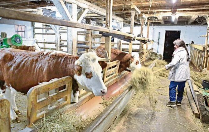 405b327b-89fa-4111-98a7-c81cce952afd.jpg_1