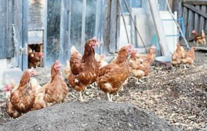 3a7cef28-571d-4248-88d1-0c86aa7dfe31.jpg_2